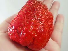 -盒马鲜生(189购物中心店)