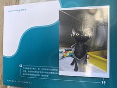 -美联众合动物医院·24h转诊中心