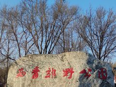 -西青郊野公园
