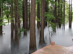 -东湖落雁景区