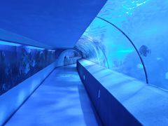 -太平洋海底世界