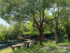 -宁波野生动物园