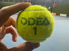 -齐动力网球(六里桥威尼斯基地)