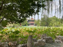 -莲池书院博物馆