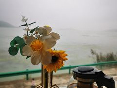 -湖山人家·湖景餐厅·特色农家菜(太湖西山店)