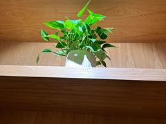 -石鼎香·非遗淮扬火锅(江都龙川桥店)