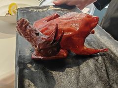 -侨美食家·40年地道粤菜(珠江新城店)