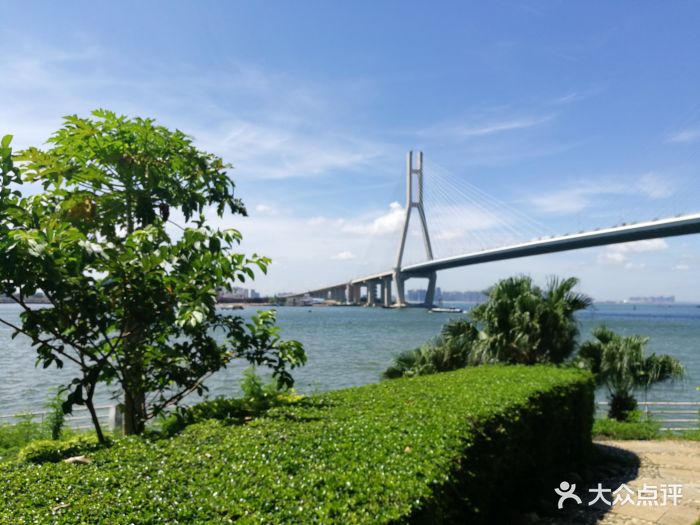 洋浦湾天天渔港图片