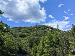 -白水寺森林公园