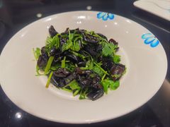-新南华大酒店(广中店)