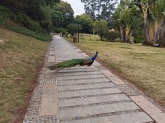 -厦门悦华酒店
