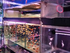 -三旗百汇商品城