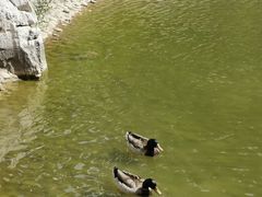 -香山公园-东宫门售票处