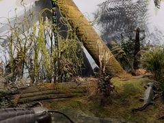 -陕西自然博物馆