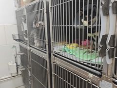 -芭比堂动物医院(广州爱宠下渡路分院)