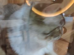 -白兔子密室(长寿路店)