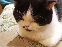-万小咖.猫咖(中山路天虹店)
