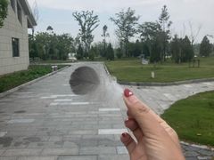 -盐城丹顶鹤湿地生态旅游区
