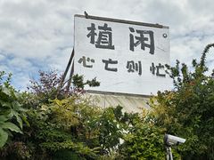 -龙大花卉苗木市场