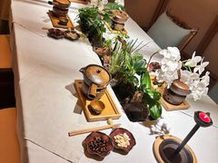 -叶叶菩提(太原别墅店)