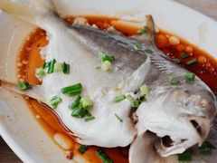 清蒸仓鱼-红月湾海鲜饭店•沙滩海景(双月湾店)