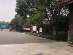 -上海海湾国家森林公园