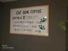 -猫色咖啡·猫咖