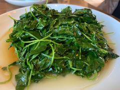 酒香草头-双塔老饭店