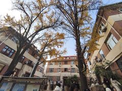 -青岛海滨风景区