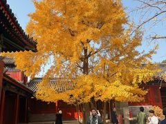 -承恩寺