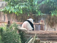 -泉州海丝野生动物世界