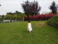 -飞来湖湿地公园