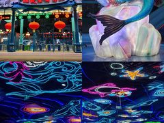 -海合安成都极地海洋公园