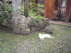 SAM_0198-小雅青年旅舍(平江路店)