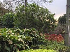 -顺峰山公园