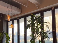 -the rug 飞毯 (朝阳公园店)