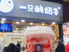 -一只酸奶牛(八一路店)