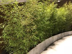 -奈雪的茶(skp店)