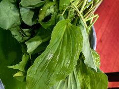 -百菇园野生菌煲(平武店)