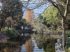 -叶家花园