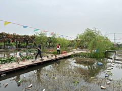 -同銮特种养殖场·龙虾垂钓