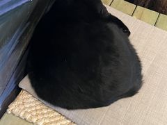 -萤火虫咖啡(后海店)