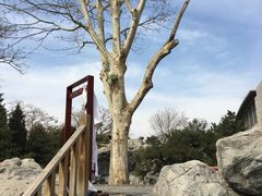 -和园景逸大酒店朗月汤泉