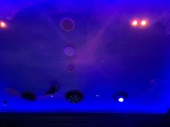 -纯K(打浦桥店)