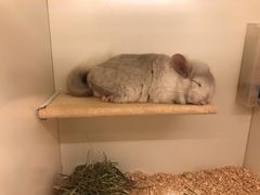 -龙猫仔乐园(惠福东路店)