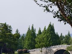 -尚贤河湿地