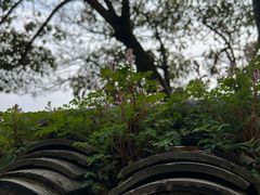 -狼山风景名胜区