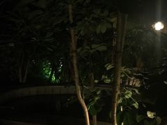 -南宫温泉水世界