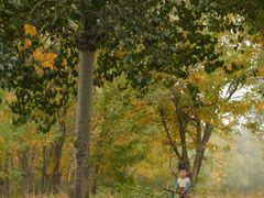 -北运河水利风景区