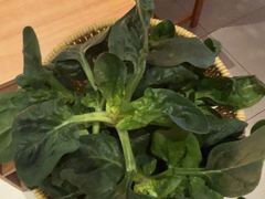 -巴奴毛肚火锅(龙湖锦艺城店)